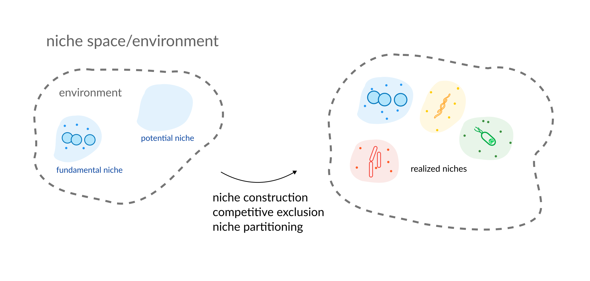 A basic illustration showing the microbial niche space.